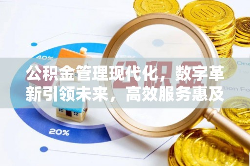 红桥公积金管理现代化，数字革新引领未来，高效服务惠及民生