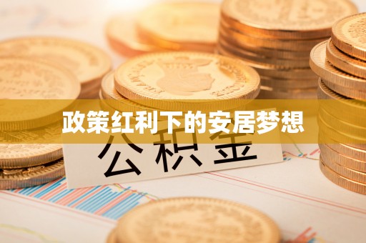 红桥政策红利下的安居梦想