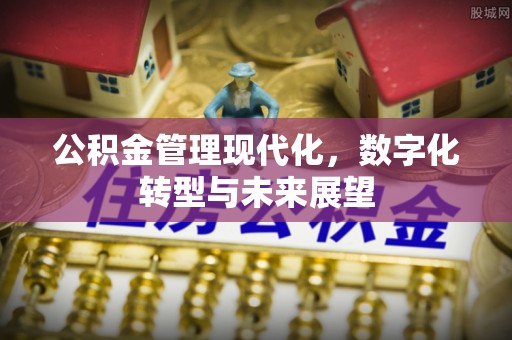 红桥公积金管理现代化，数字化转型与未来展望