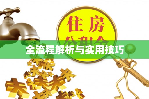 红桥全流程解析与实用技巧