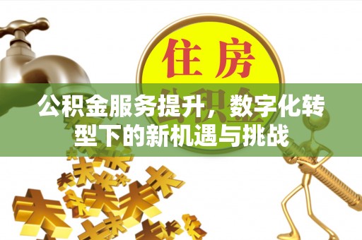 红桥公积金服务提升，数字化转型下的新机遇与挑战