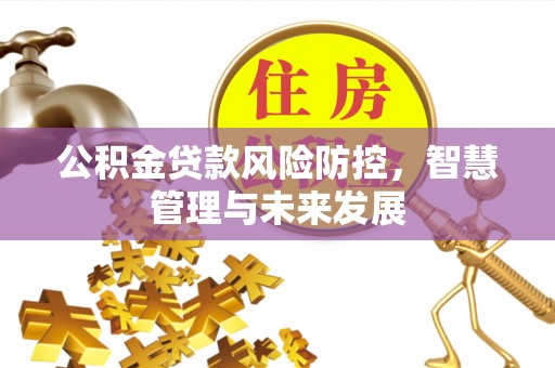 红桥公积金贷款风险防控，智慧管理与未来发展