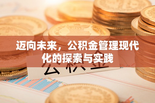 红桥迈向未来，公积金管理现代化的探索与实践