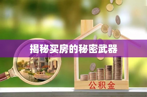 红桥揭秘买房的秘密武器