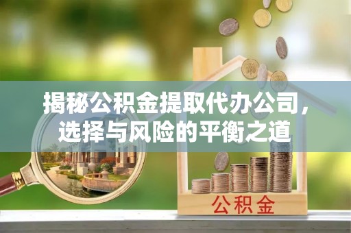 红桥揭秘公积金提取代办公司，选择与风险的平衡之道
