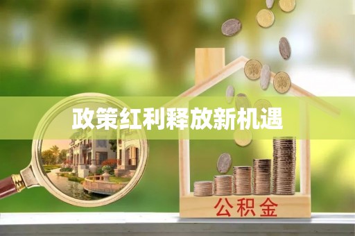 红桥政策红利释放新机遇