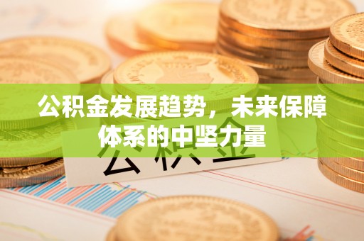 红桥公积金发展趋势，未来保障体系的中坚力量