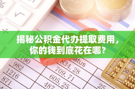 红桥揭秘公积金代办提取费用，你的钱到底花在哪？
