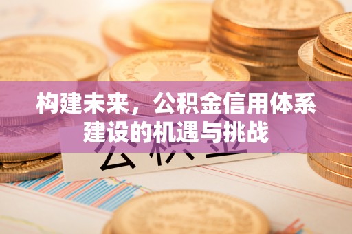红桥构建未来，公积金信用体系建设的机遇与挑战
