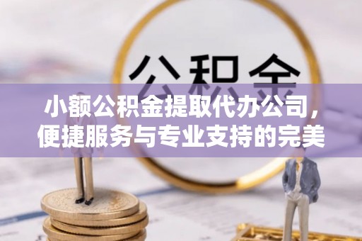 红桥小额公积金提取代办公司，便捷服务与专业支持的完美结合