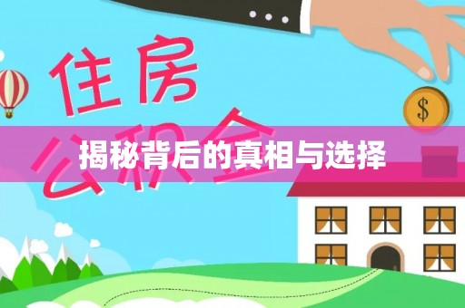红桥揭秘背后的真相与选择