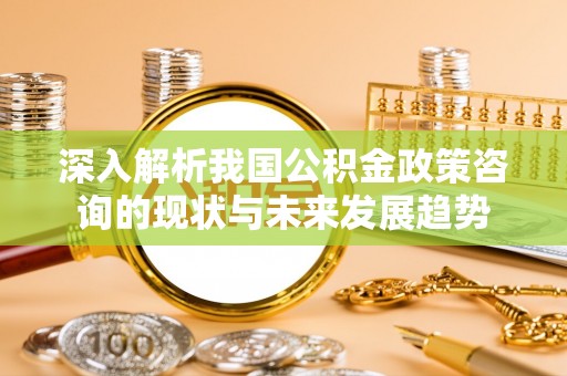 红桥深入解析我国公积金政策咨询的现状与未来发展趋势