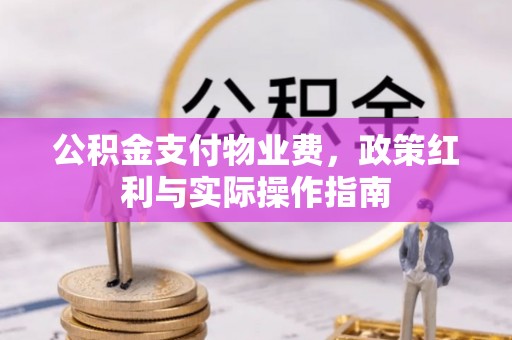 红桥公积金支付物业费，政策红利与实际操作指南