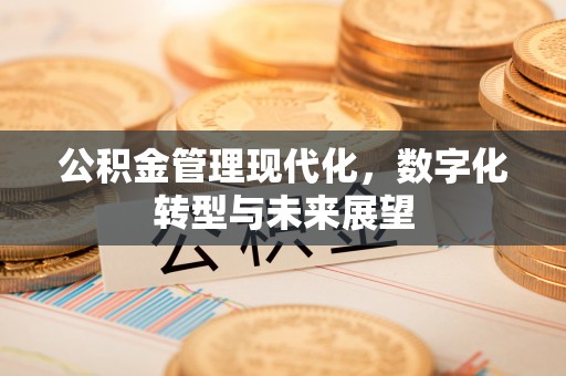 红桥公积金管理现代化，数字化转型与未来展望