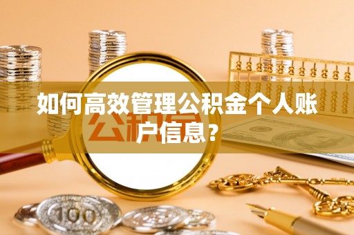 红桥如何高效管理公积金个人账户信息？