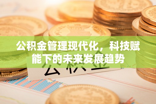 红桥公积金管理现代化，科技赋能下的未来发展趋势