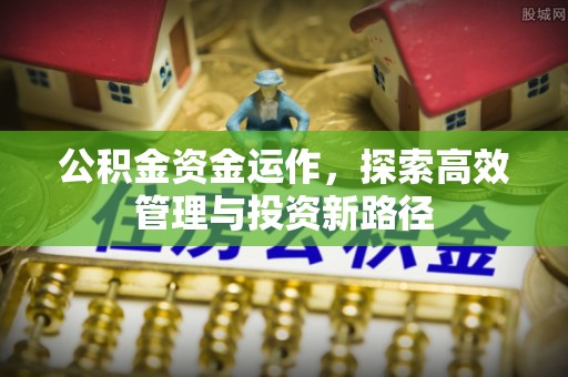 红桥公积金资金运作，探索高效管理与投资新路径