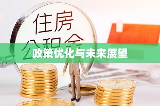 红桥政策优化与未来展望