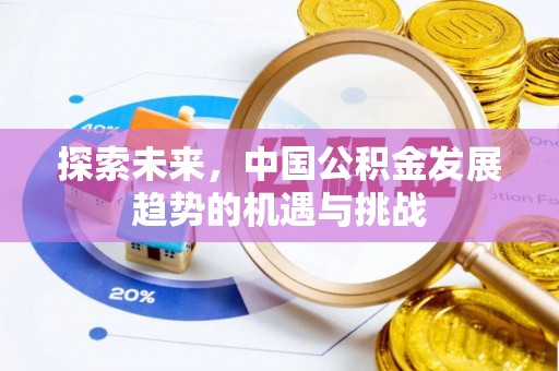 红桥探索未来，中国公积金发展趋势的机遇与挑战