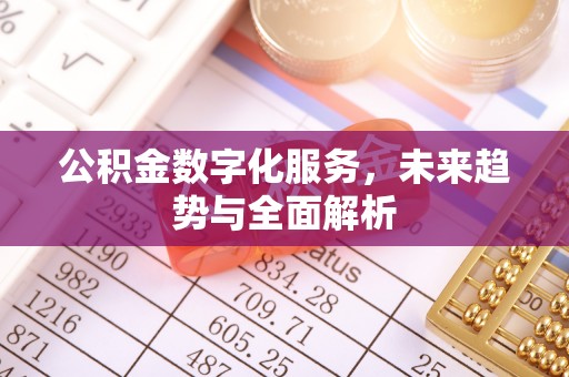 红桥公积金数字化服务，未来趋势与全面解析