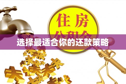 红桥选择最适合你的还款策略
