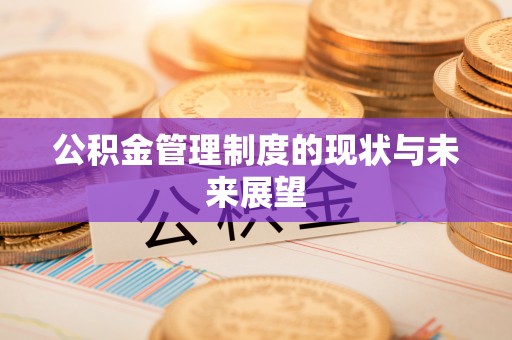 红桥公积金管理制度的现状与未来展望