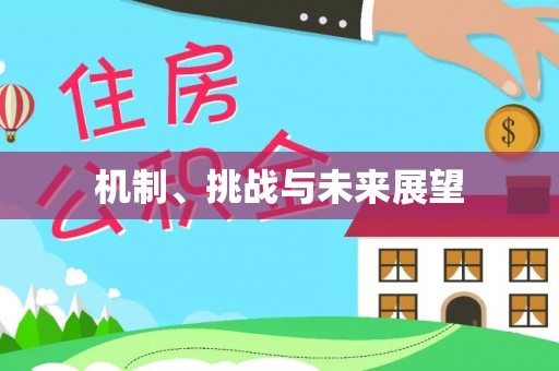 红桥机制、挑战与未来展望